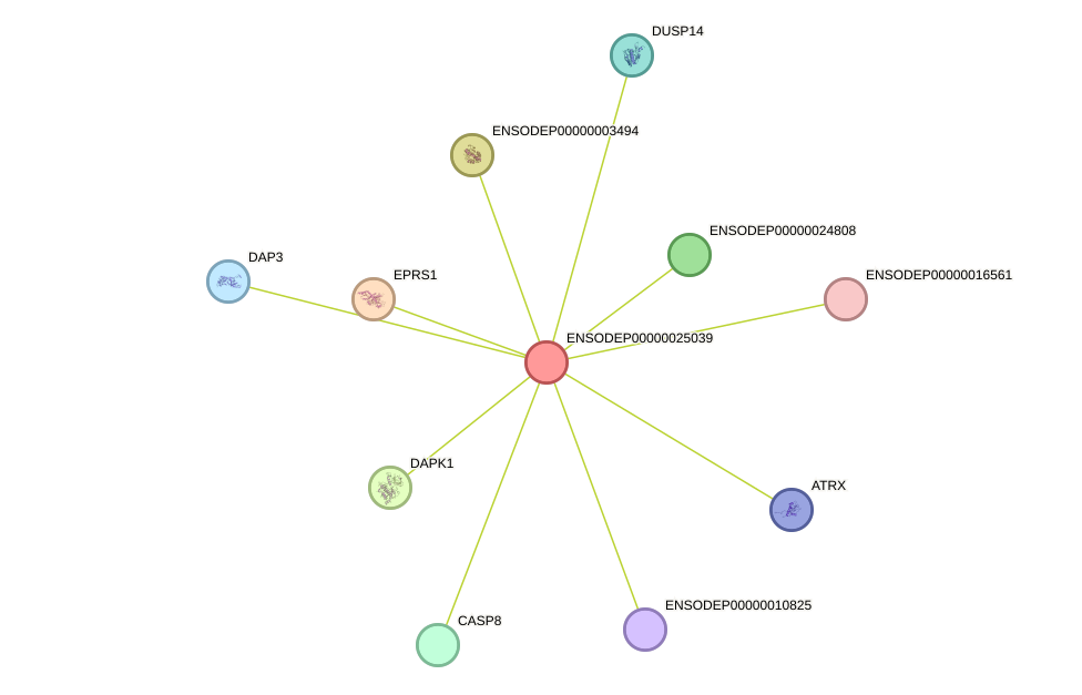 STRING protein interaction network