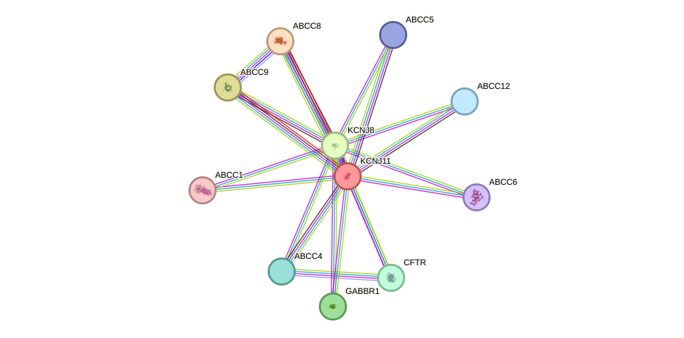 STRING protein interaction network