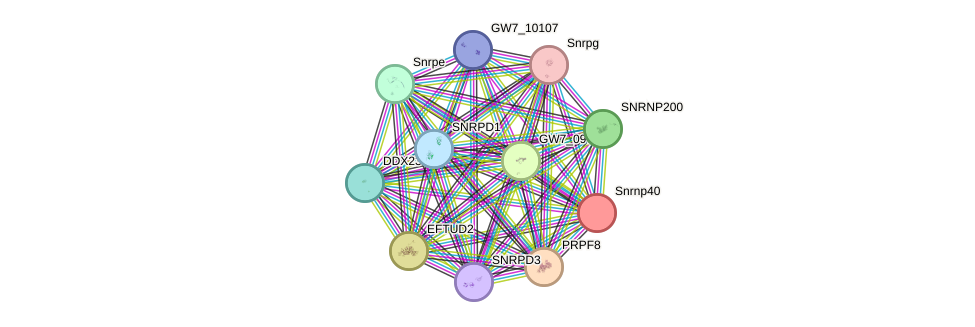 STRING protein interaction network