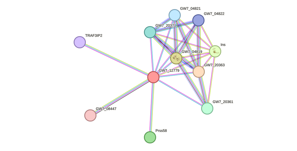 STRING protein interaction network