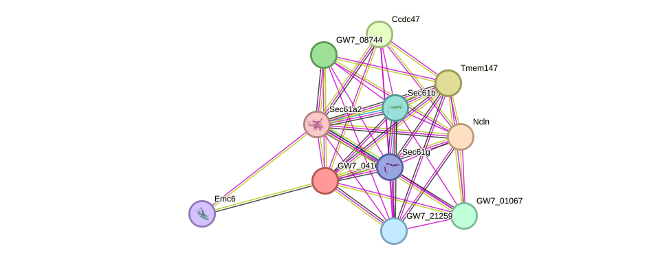 STRING protein interaction network