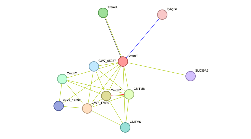 STRING protein interaction network