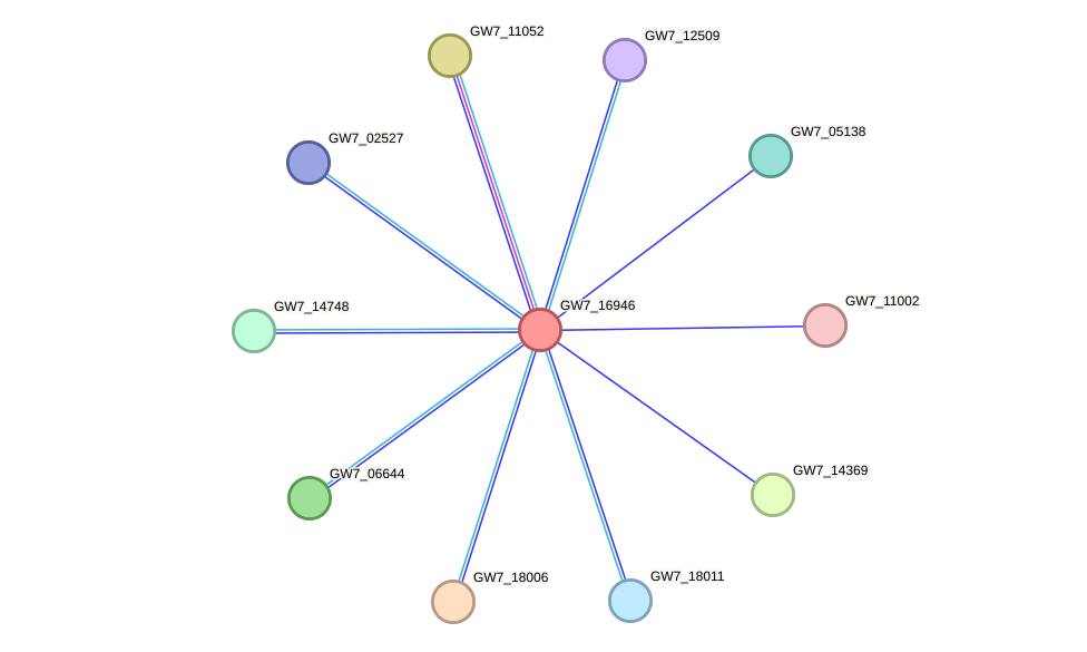 STRING protein interaction network