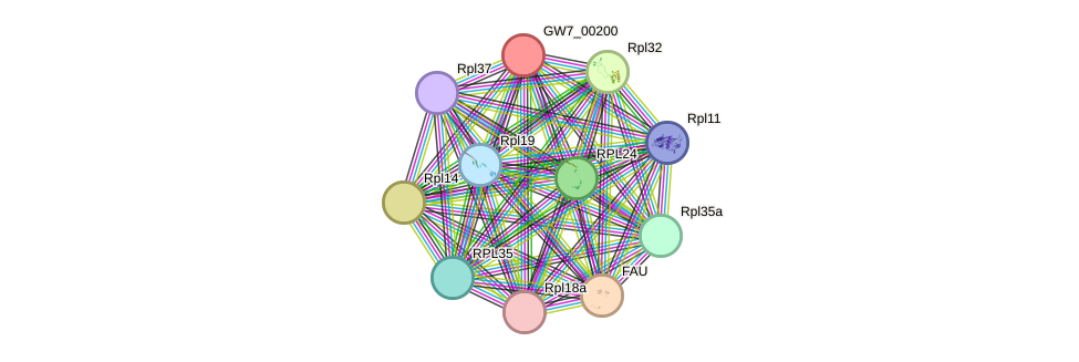 STRING protein interaction network