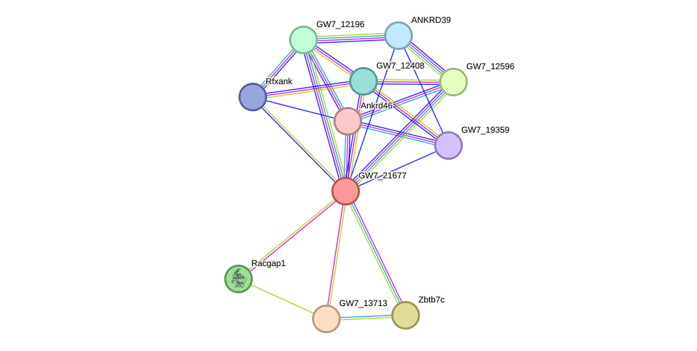 STRING protein interaction network