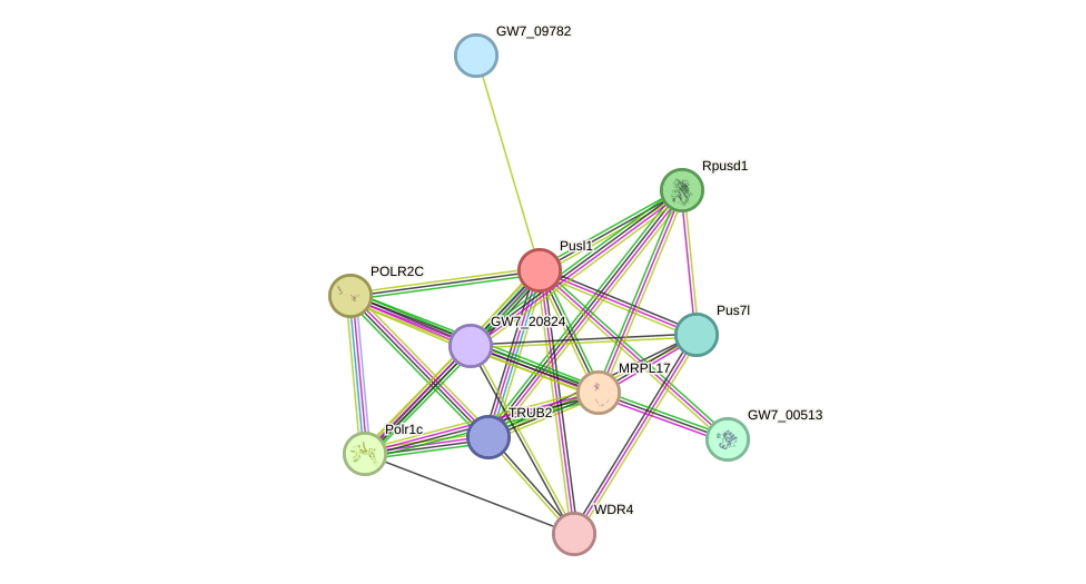 STRING protein interaction network