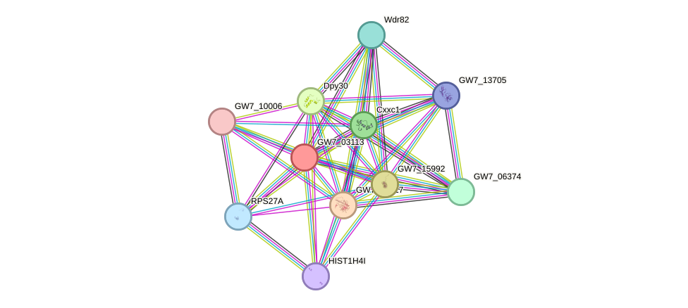 STRING protein interaction network