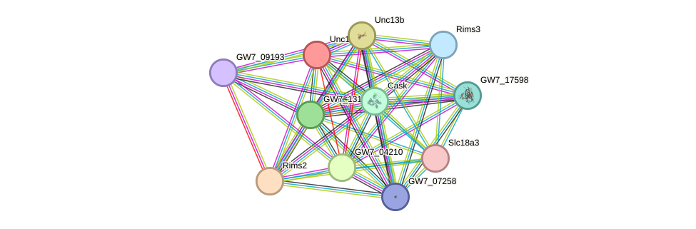 STRING protein interaction network