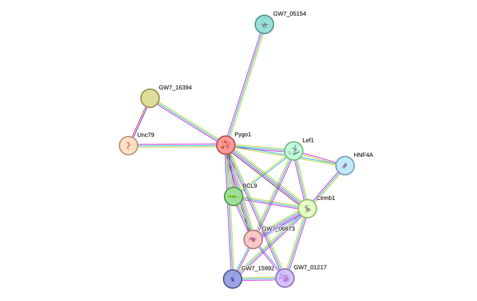 STRING protein interaction network