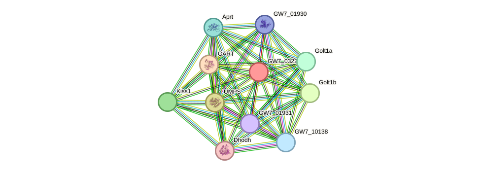 STRING protein interaction network