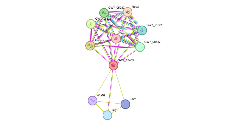 STRING protein interaction network