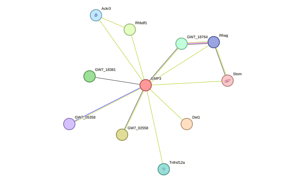 STRING protein interaction network