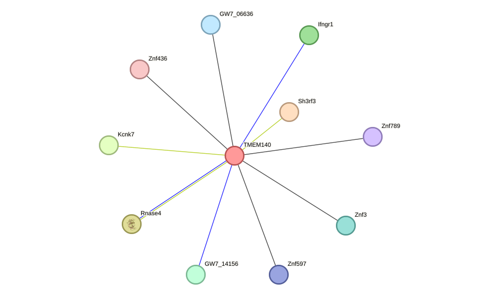 STRING protein interaction network