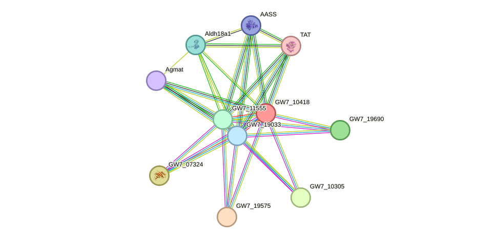 STRING protein interaction network