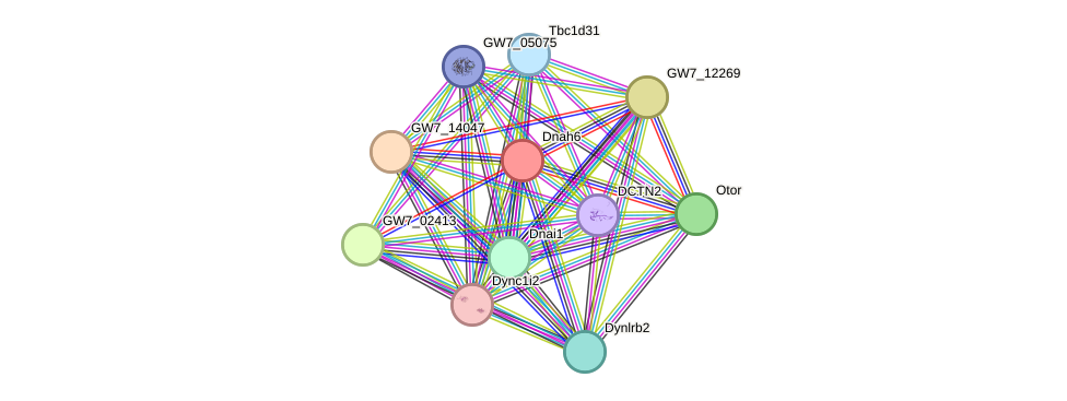 STRING protein interaction network