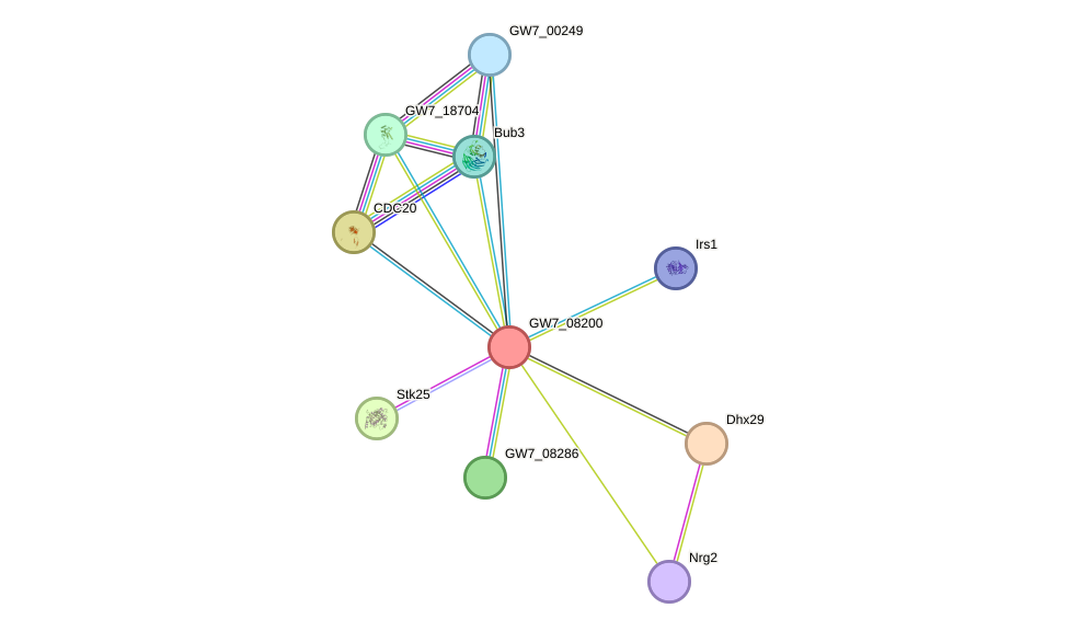 STRING protein interaction network