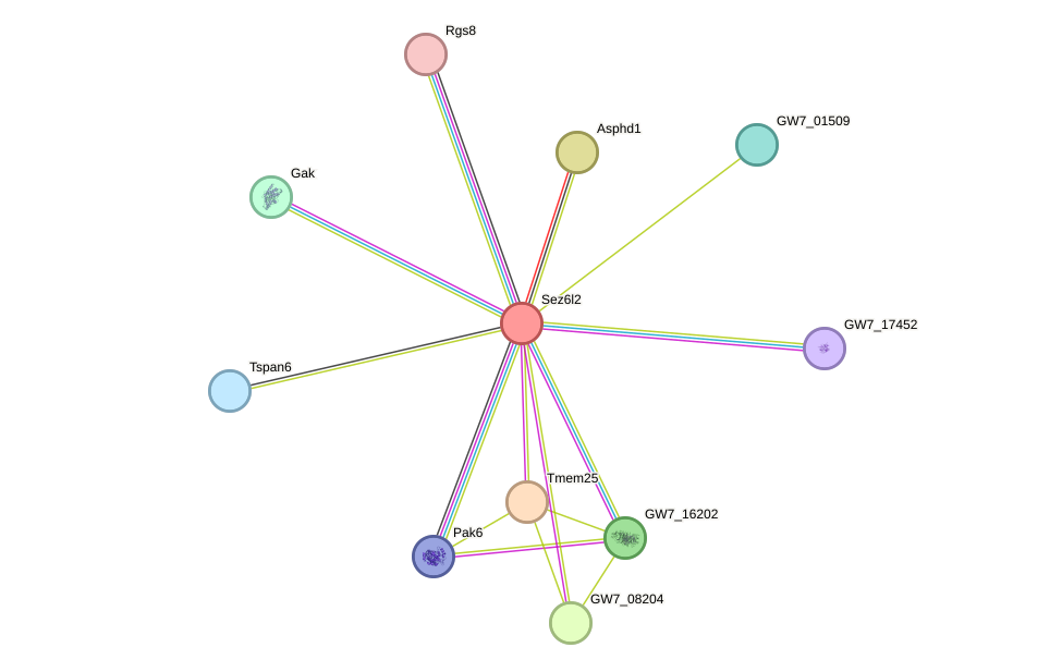 STRING protein interaction network