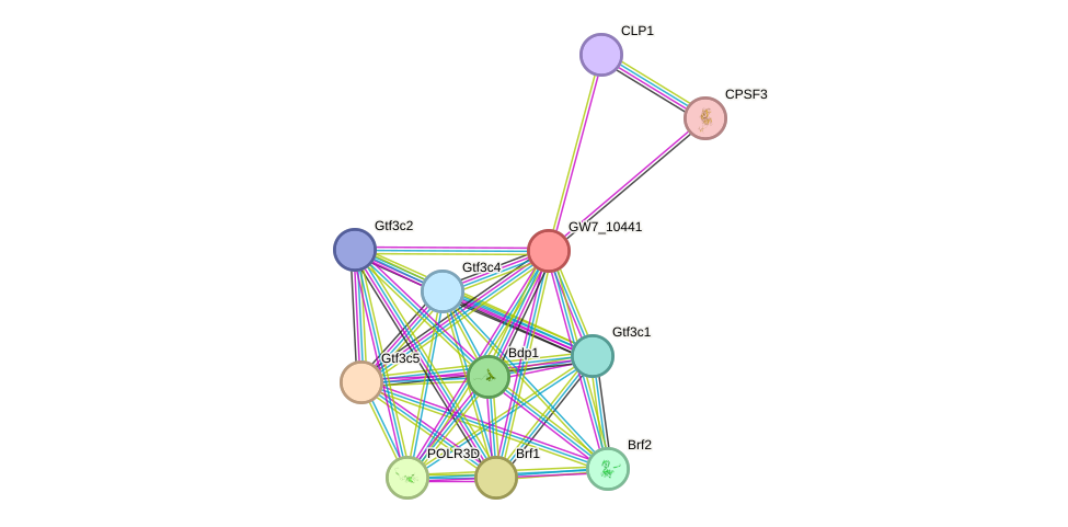 STRING protein interaction network