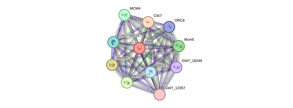 STRING protein interaction network