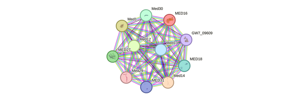 STRING protein interaction network