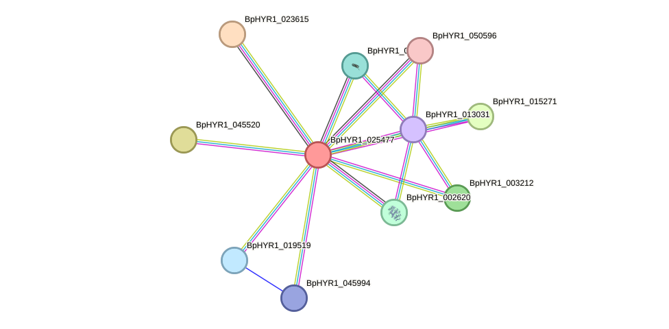 STRING protein interaction network