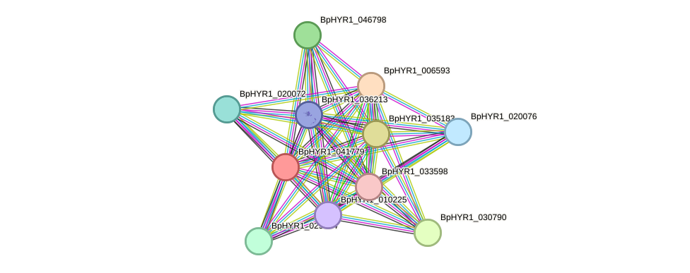 STRING protein interaction network