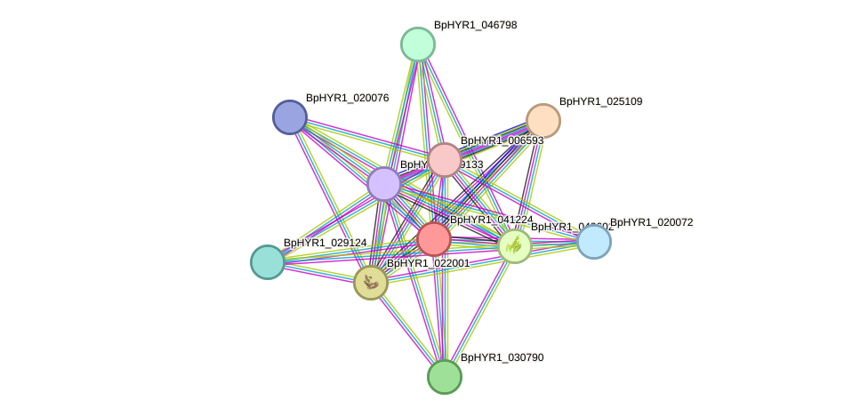 STRING protein interaction network