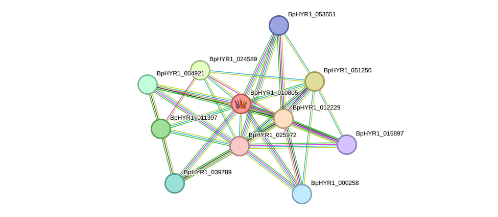 STRING protein interaction network