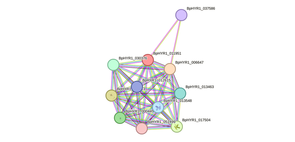 STRING protein interaction network