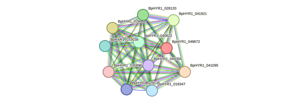 STRING protein interaction network