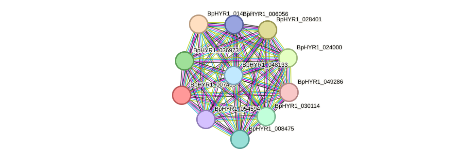 STRING protein interaction network