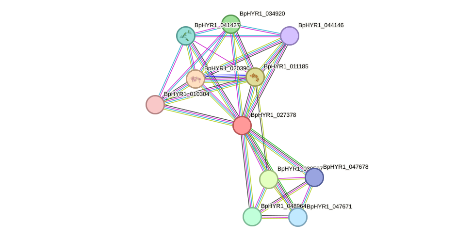 STRING protein interaction network