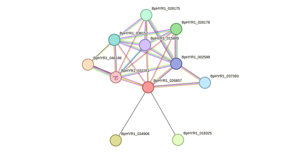 STRING protein interaction network