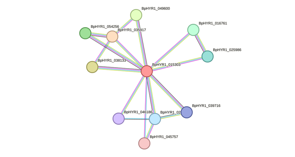 STRING protein interaction network