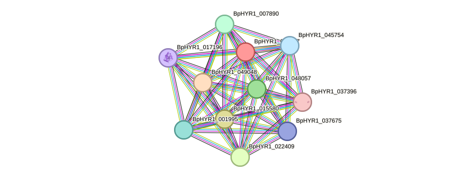 STRING protein interaction network