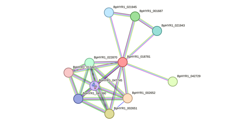 STRING protein interaction network