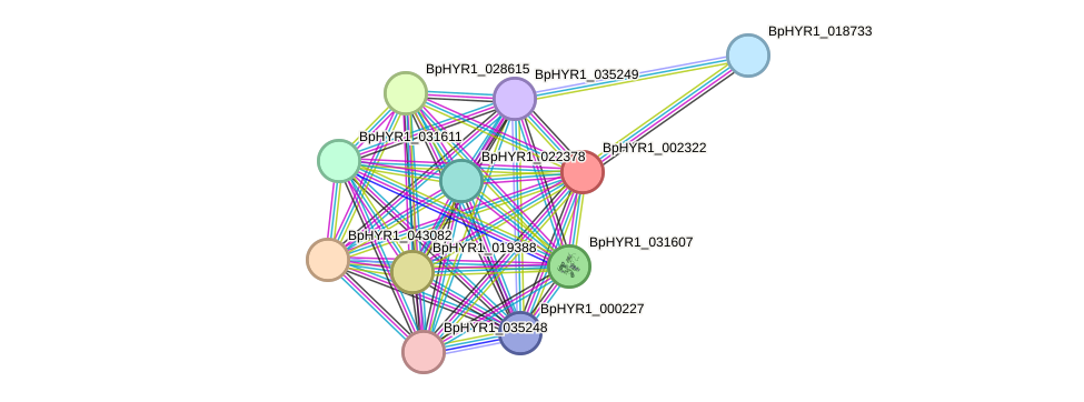 STRING protein interaction network