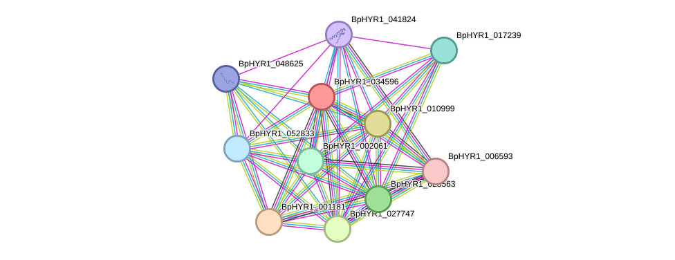 STRING protein interaction network