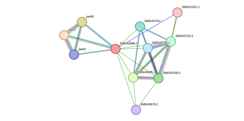 STRING protein interaction network