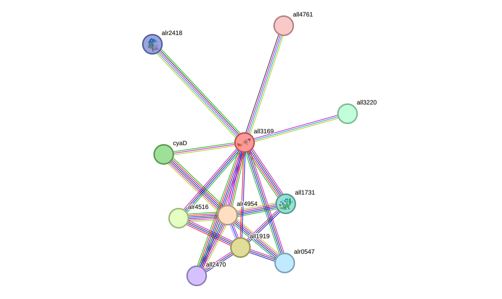 STRING protein interaction network