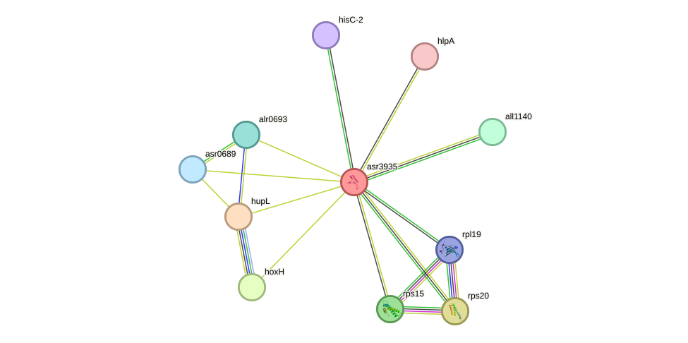 STRING protein interaction network