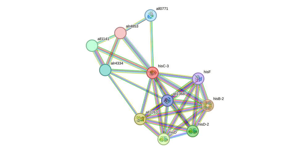 STRING protein interaction network