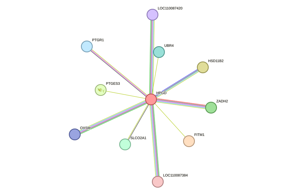 STRING protein interaction network