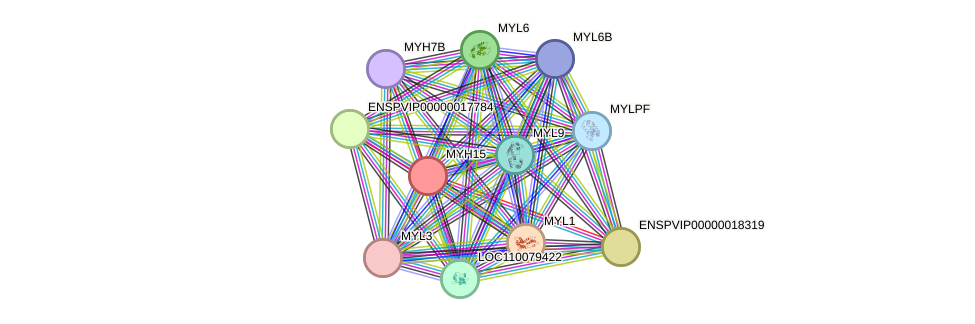 STRING protein interaction network