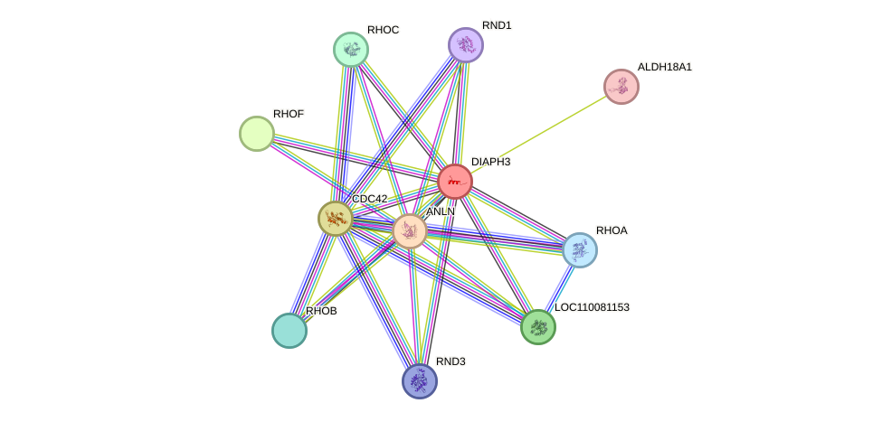 STRING protein interaction network