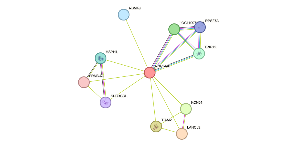 STRING protein interaction network