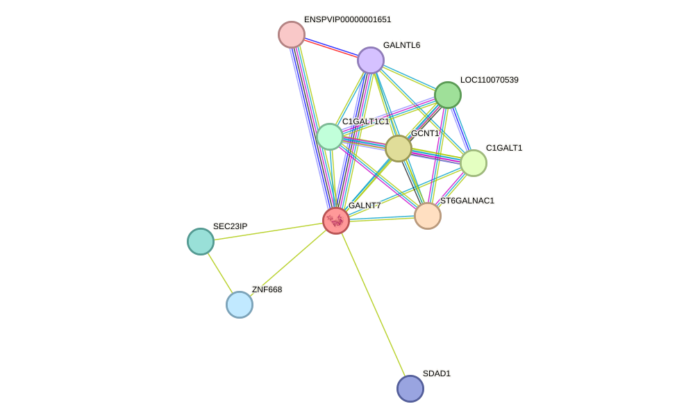 STRING protein interaction network