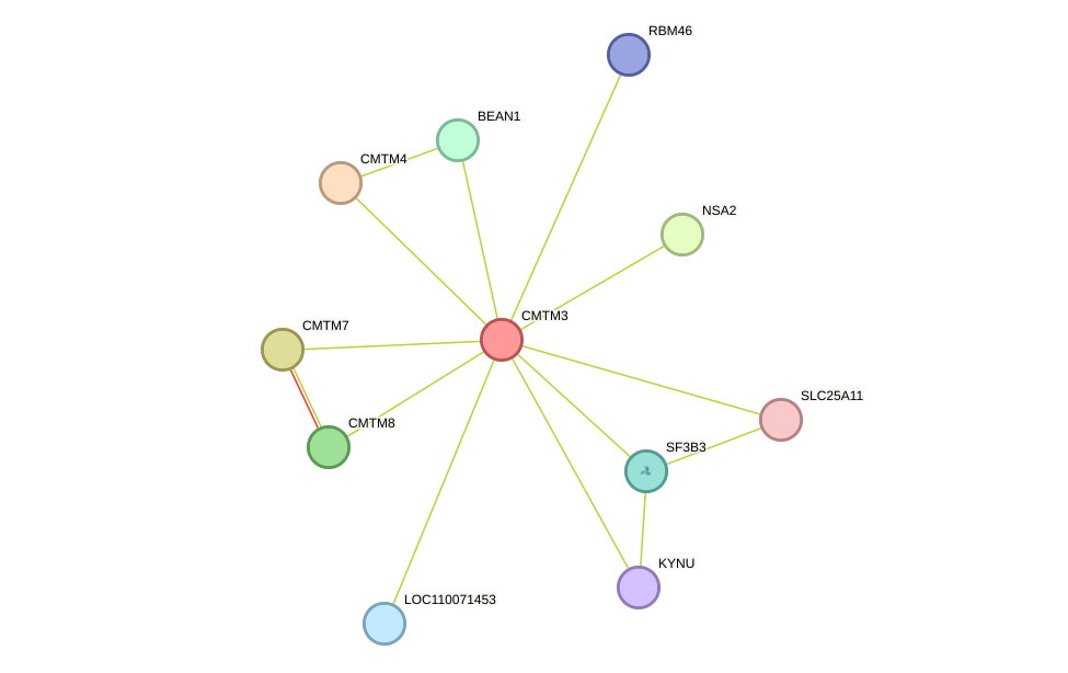 STRING protein interaction network