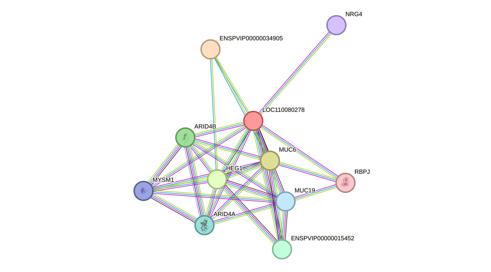 STRING protein interaction network