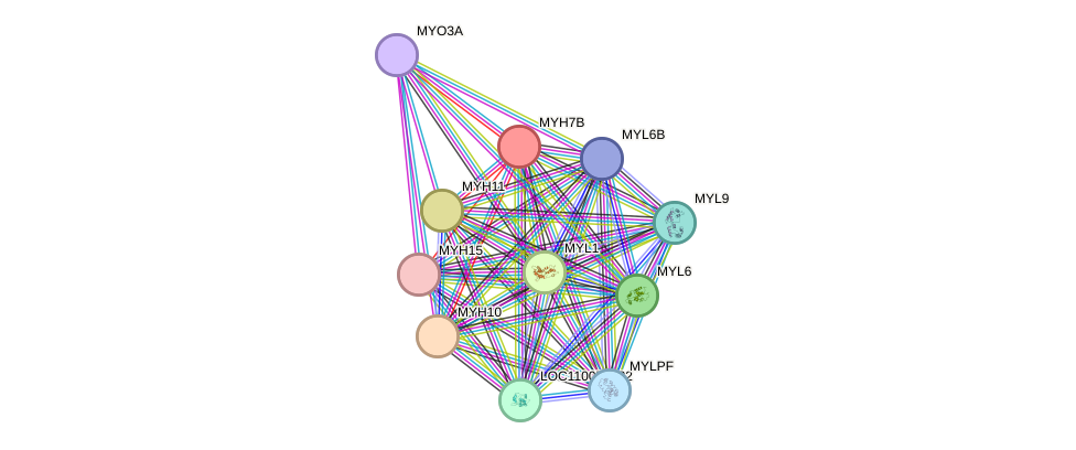 STRING protein interaction network